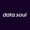 data soul Brazil Jobs Expertini